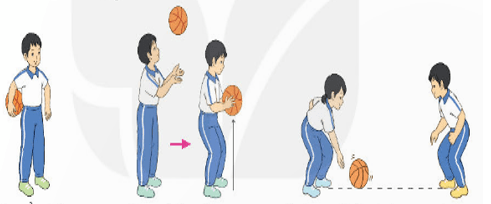 Giáo án Giáo dục thể chất lớp 4 Kết nối tri thức Bài 3: Động tác chuyền, bắt bóng bật đất bằng hai tay trước ngực Kết nối tri thức