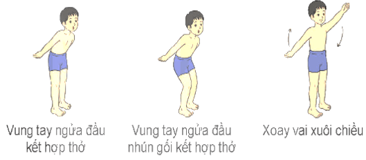 Giáo án Giáo dục thể chất lớp 4 Kết nối tri thức Bài 3: Động tác phối hợp trong bơi ếch Kết nối tri thức