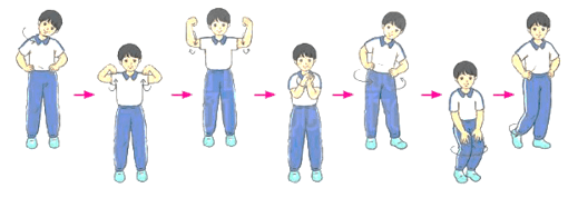 Giáo án Giáo dục thể chất lớp 4 Kết nối tri thức Bài 4: Động tác ném rổ bằng một tay trên vai Kết nối tri thức