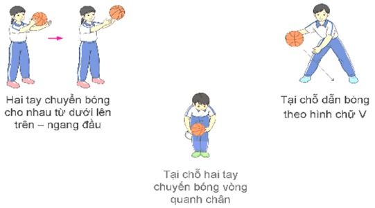 Giáo án Giáo dục thể chất lớp 5 Kết nối tri thức Bài 1: Dẫn bóng thay đổi tốc độ, dẫn bóng theo đường vòng 