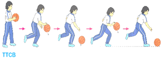 Giáo án Giáo dục thể chất lớp 5 Kết nối tri thức Bài 1: Dẫn bóng thay đổi tốc độ, dẫn bóng theo đường vòng 