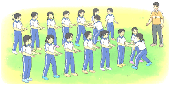 Giáo án Giáo dục thể chất lớp 5 Kết nối tri thức Bài 2: Động tác bụng, động tác vặn mình, động tác toàn thân với gậy 