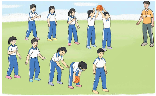 Giáo án Giáo dục thể chất lớp 5 Kết nối tri thức Bài 2: Động tác chuyền, bắt bóng bằng hai tay trên cao 