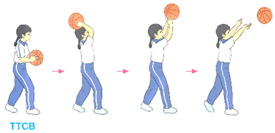 Giáo án Giáo dục thể chất lớp 5 Kết nối tri thức Bài 2: Động tác chuyền, bắt bóng bằng hai tay trên cao 