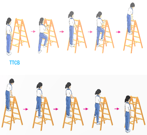 Giáo án Giáo dục thể chất lớp 5 Kết nối tri thức Bài 3: Bài tập rèn luyện kĩ năng leo 