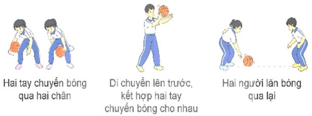 Giáo án Giáo dục thể chất lớp 5 Kết nối tri thức Bài 3: Động tác hai bước ném rổ bằng một tay trên vai 