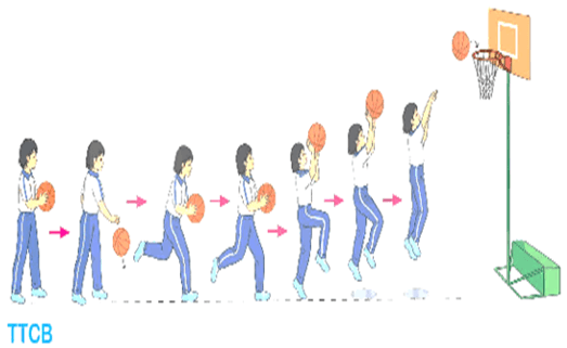 Giáo án Giáo dục thể chất lớp 5 Kết nối tri thức Bài 3: Động tác hai bước ném rổ bằng một tay trên vai 