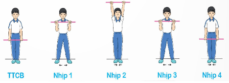 Giáo án Giáo dục thể chất lớp 5 Kết nối tri thức Bài 3: Động tác nhảy, động tác điều hoà với gậy 