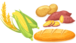 Giáo án Giáo dục thể chất lớp 5 Kết nối tri thức Chế độ ăn uống đảm bảo dinh dưỡng trong tập luyện 