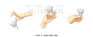 Giáo án GDTC 6 Kết nối tri thức Bài 1: Bài tập bổ trợ và di chuyển đơn bước