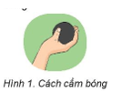 Giáo án GDTC 6 Kết nối tri thức Bài 1: Các động tác bổ trợ kĩ thuật ném bóng