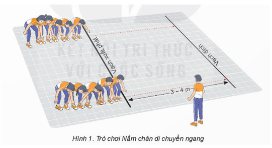 Giáo án GDTC 8 Kết nối tri thức Bài 2: Bài thể dục nhịp điệu (động tác lườn, bật nhảy co gối, di chuyển chéo, bật nhảy tay - cao)