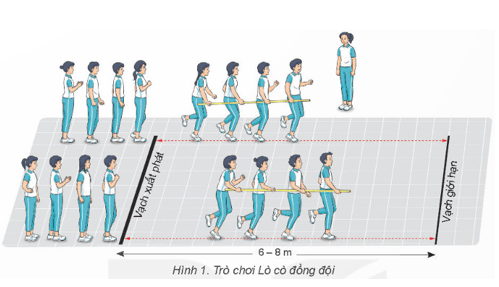 Giáo án GDTC 8 Kết nối tri thức Bài 4: Phối hợp các giai đoạn kĩ thuật nhảy cao kiểu bước qua