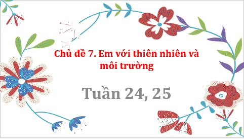 Giáo án điện tử HĐTN 7 Kết nối tri thức Bài 1: Cảnh quan thiên nhiên quê hương tôi | PPT Hoạt động trải nghiệm 7