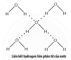 Giáo án Hóa 10 Chân trời sáng tạo Bài 11: Liên kết hydrogen và tương tác van der waals