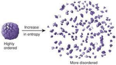 Giáo án Chuyên đề Hóa học 10 Kết nối tri thức Bài 4: Entropy và biến thiên năng lượng tự do Gibbs