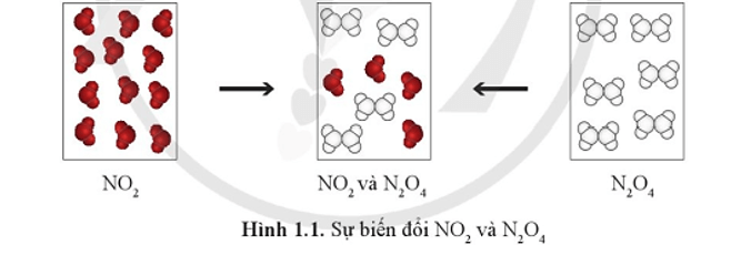 Giáo án Hóa học 11 Cánh diều Bài 1: Mở đầu về cân bằng hoá học