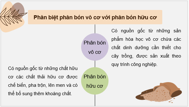 Giáo án điện tử Chuyên đề Hóa 11 Kết nối tri thức Bài 2: Phân bón vô cơ | PPT Chuyên đề Hóa học 11