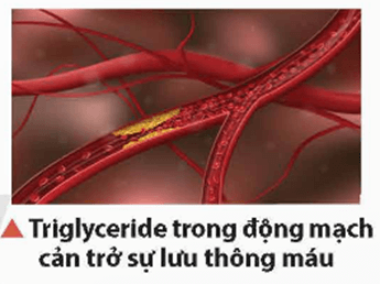 Giáo án Hóa học 12 Chân trời sáng tạo Bài 1: Ester – Lipid