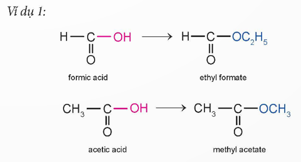 Giáo án Hóa học 12 Chân trời sáng tạo Bài 1: Ester – Lipid