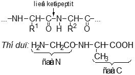 Giáo án Hóa học 12 Bài 11: Peptit và protein mới nhất