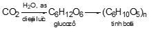 Giáo án Hóa học 12 Bài 6: Saccarozơ, tinh bột và xenlulozơ (tiết 2) mới nhất
