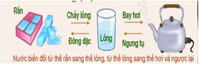 Giáo án Hóa học 8 Bài 12: Sự biến đổi chất mới nhất