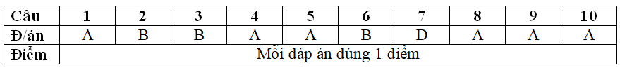 Giáo án Hóa học 8 Bài 34: Bài luyện tập 6 mới nhất (tiết 2)