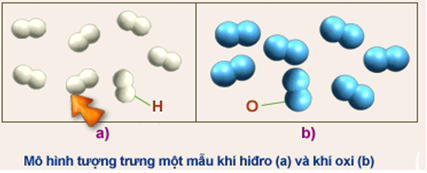 Giáo án Hóa học 8 Bài 6: Đơn chất và hợp chất - Phân tử mới nhất