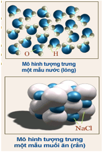 Giáo án Hóa học 8 Bài 6: Đơn chất và hợp chất - Phân tử mới nhất