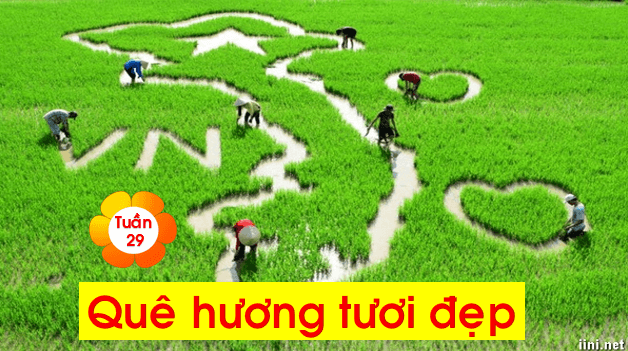 Giáo án điện tử HĐTN lớp 1 Chân trời sáng tạo Tuần 1 (Chủ đề 8) | PPT Hoạt động trải nghiệm lớp 1