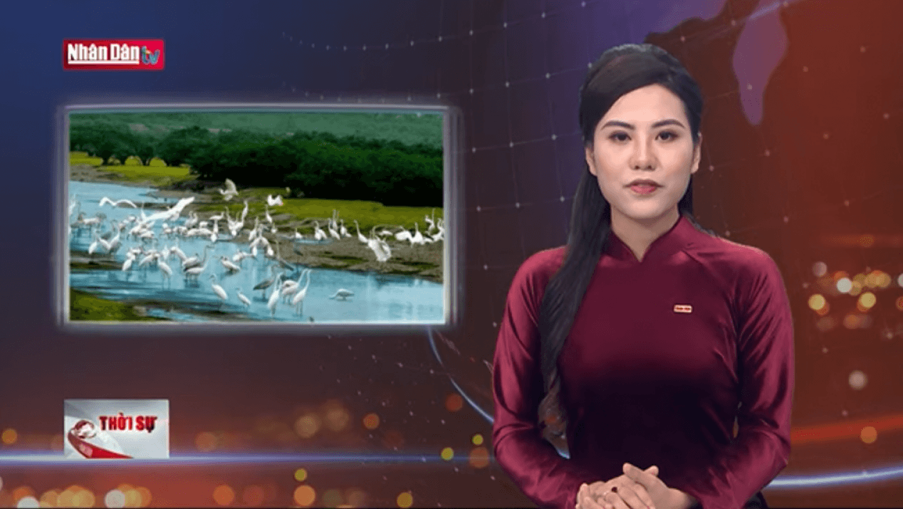 Giáo án điện tử HĐTN 12 Kết nối tri thức Chủ đề 7: Bảo vệ thế giới tự nhiên | PPT Hoạt động trải nghiệm 12