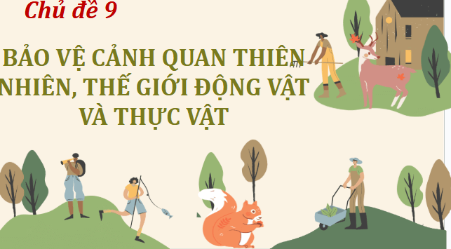 Giáo án điện tử HĐTN 12 Chân trời sáng tạo Chủ đề 9: Bảo vệ cảnh quan thiên nhiên, thế giới động vật và thực vật | PPT Hoạt động trải nghiệm 12