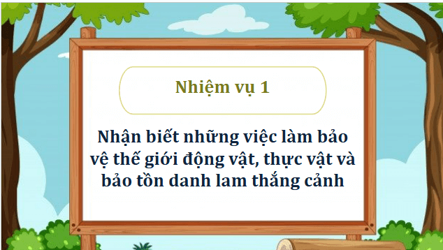 Giáo án điện tử HĐTN 12 Chân trời sáng tạo Chủ đề 9: Bảo vệ cảnh quan thiên nhiên, thế giới động vật và thực vật | PPT Hoạt động trải nghiệm 12
