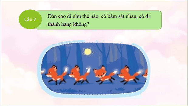 Giáo án điện tử HĐTN lớp 2 Kết nối tri thức Tuần 23: Câu chuyện lạc đường | PPT Hoạt động trải nghiệm lớp 2