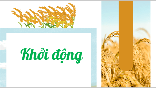 Giáo án điện tử HĐTN lớp 3 Kết nối tri thức Tuần 19 | PPT Hoạt động trải nghiệm lớp 3