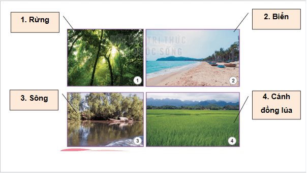 Giáo án điện tử HĐTN 6 Kết nối tri thức Bài 1: Khám phá cảnh quan thiên nhiên | PPT Hoạt động trải nghiệm 6