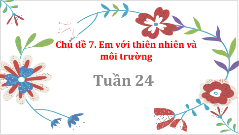 Giáo án điện tử HĐTN 8 Kết nối tri thức Bài 1: Cảnh quan thiên nhiên quê hương tôi | PPT Hoạt động trải nghiệm 8