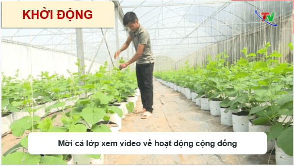 Giáo án điện tử HĐTN 9 Kết nối tri thức Bài 3: Biện pháp phát triển kinh tế gia đình | PPT Hoạt động trải nghiệm 9