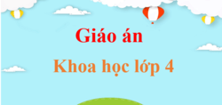 Giáo án Khoa học lớp 4 (mới, chuẩn nhất) | Bài giảng điện tử Khoa học lớp 4