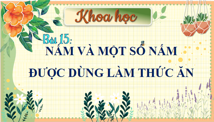 Giáo án điện tử Khoa học lớp 4 Cánh diều Bài 15: Nấm và một số nấm được dùng làm thức ăn | PPT Khoa học 4