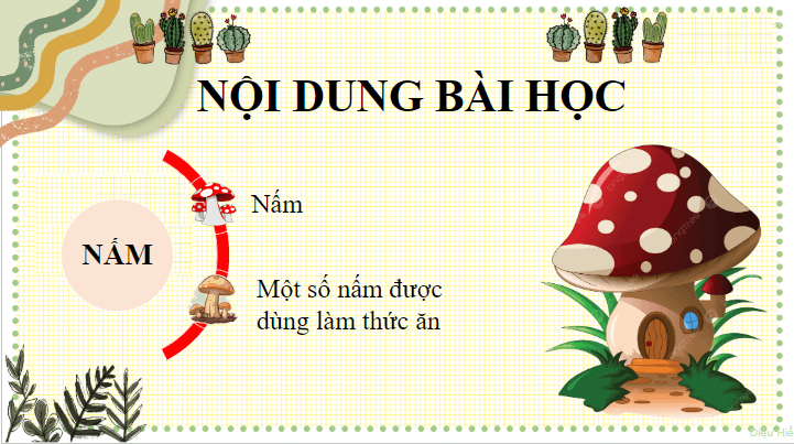 Giáo án điện tử Khoa học lớp 4 Cánh diều Bài 15: Nấm và một số nấm được dùng làm thức ăn | PPT Khoa học 4