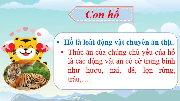 Giáo án điện tử Khoa học lớp 4 Kết nối tri thức Bài 16: Động vật cần gì để sống? | PPT Khoa học 4