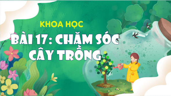 Giáo án điện tử Khoa học lớp 4 Kết nối tri thức Bài 17: Chăm sóc cây trồng, vật nuôi | PPT Khoa học 4