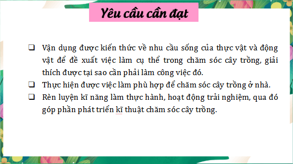 Giáo án điện tử Khoa học lớp 4 Kết nối tri thức Bài 17: Chăm sóc cây trồng, vật nuôi | PPT Khoa học 4