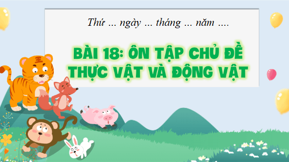 Giáo án điện tử Khoa học lớp 4 Kết nối tri thức Bài 18: Ôn tập chủ đề thực vật và động vật | PPT Khoa học 4