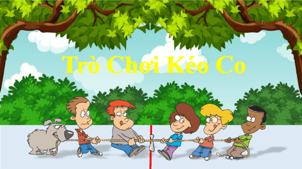 Giáo án điện tử Khoa học lớp 4 Kết nối tri thức Bài 18: Ôn tập chủ đề thực vật và động vật | PPT Khoa học 4