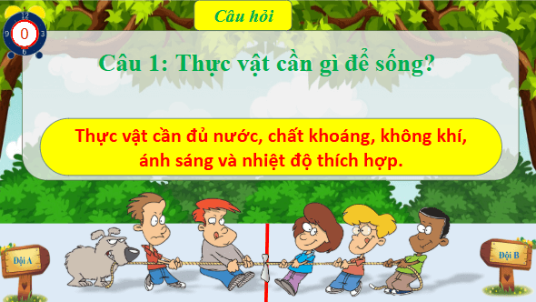 Giáo án điện tử Khoa học lớp 4 Kết nối tri thức Bài 18: Ôn tập chủ đề thực vật và động vật | PPT Khoa học 4