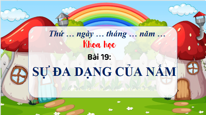 Giáo án điện tử Khoa học lớp 4 Chân trời sáng tạo Bài 19: Sự đa dạng của nấm | PPT Khoa học 4