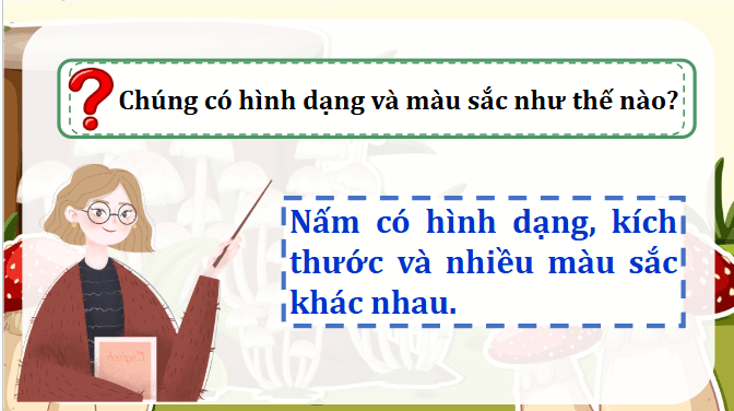 Giáo án điện tử Khoa học lớp 4 Chân trời sáng tạo Bài 19: Sự đa dạng của nấm | PPT Khoa học 4